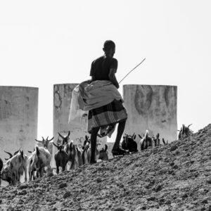 Tales of the Djibouti By Camille Massida